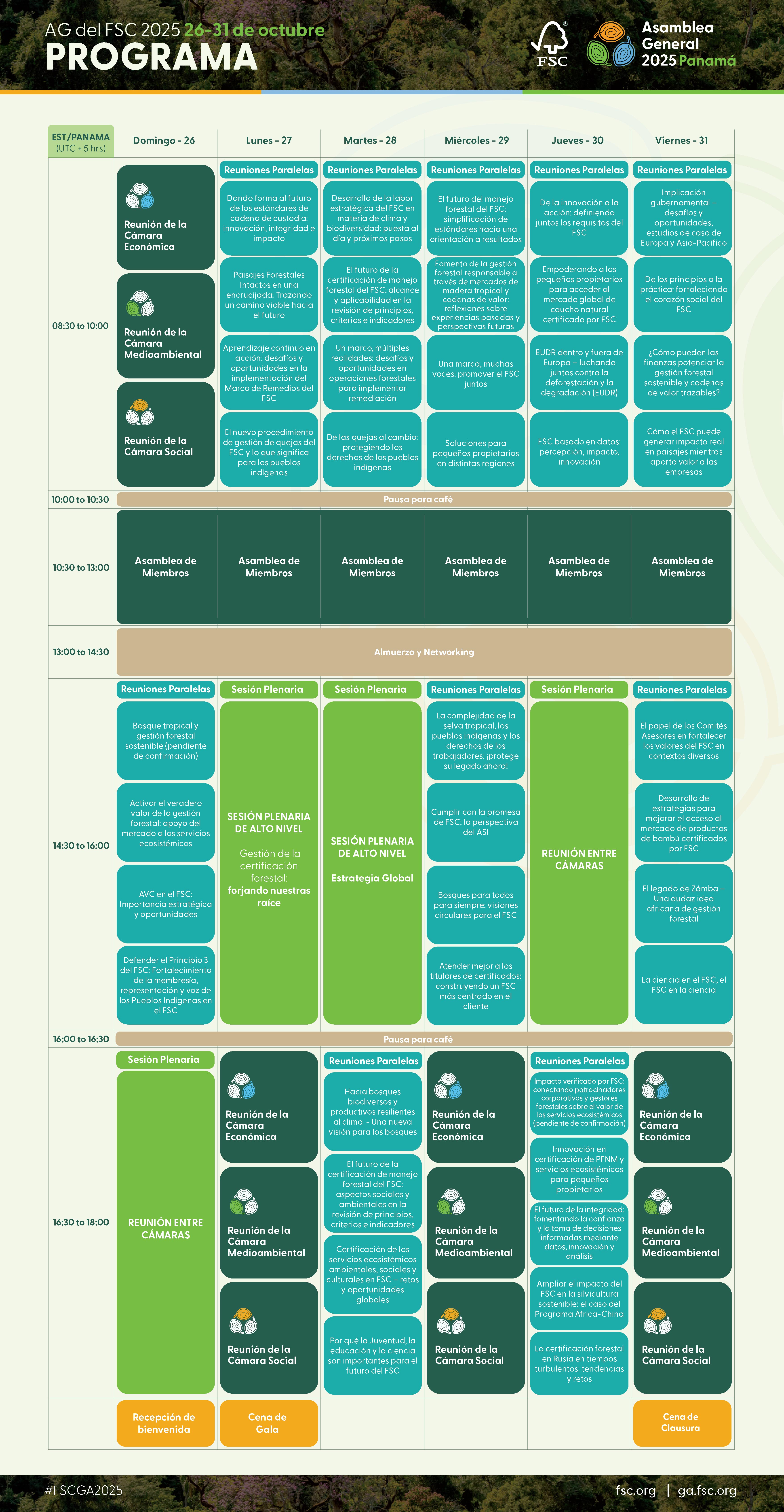 Spanish_GA2025 Programme overview