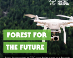 forest for future
