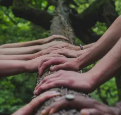 Proxy_forest