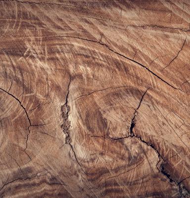 Wood