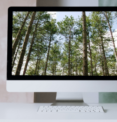 computer and forest