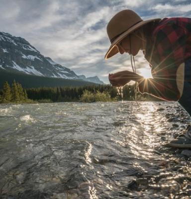 Ecosystem Services