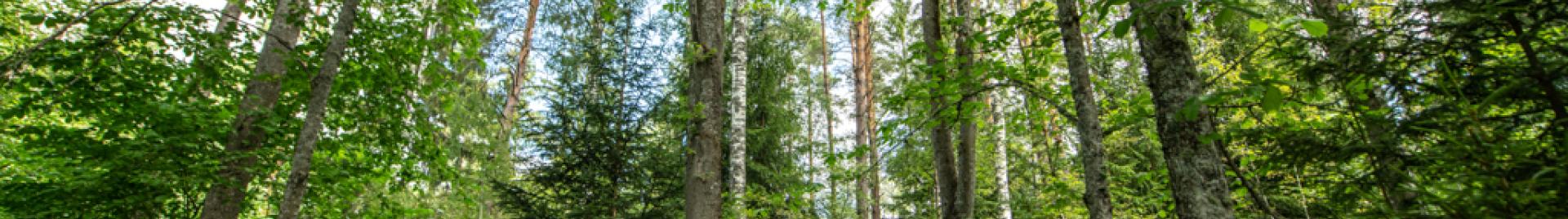 FSC_DK_SVERIGE_0718_8479.jpg