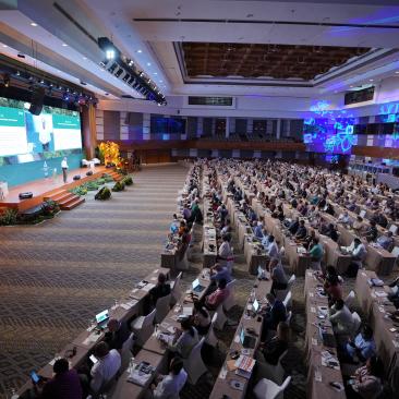 plenary session